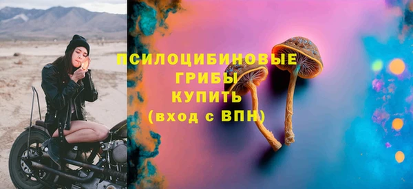 стафф Алексеевка