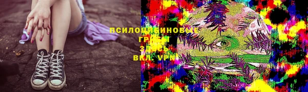 стафф Алексеевка