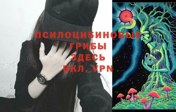 стафф Алексеевка