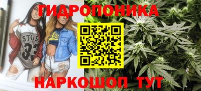 мдпв Ачхой-Мартан