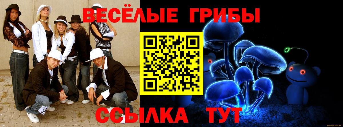 Галлюциногенные грибы Magic Shrooms  цены   Бахчисарай  Вход с VPN 